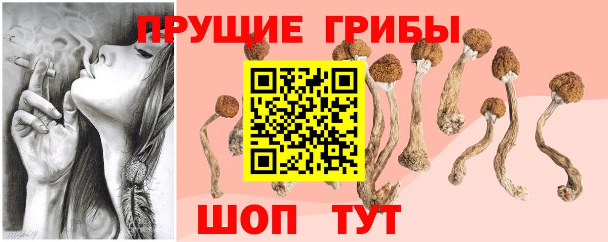 Цена  МЕФ  Канабис  A-PVP СОЛЬ кристаллы  Вход с VPN  ГАШИШ  Магнитогорск  Меф кристаллы 