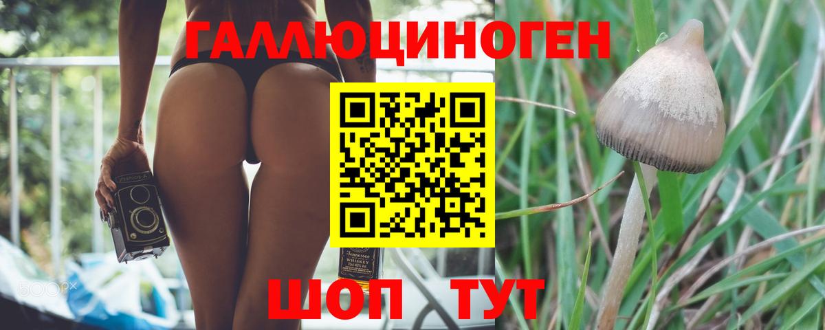 Галлюциногенные грибы MAGIC MUSHROOMS  Галлюциногенные грибы Psilocybe  Вход с VPN  Магнитогорск 